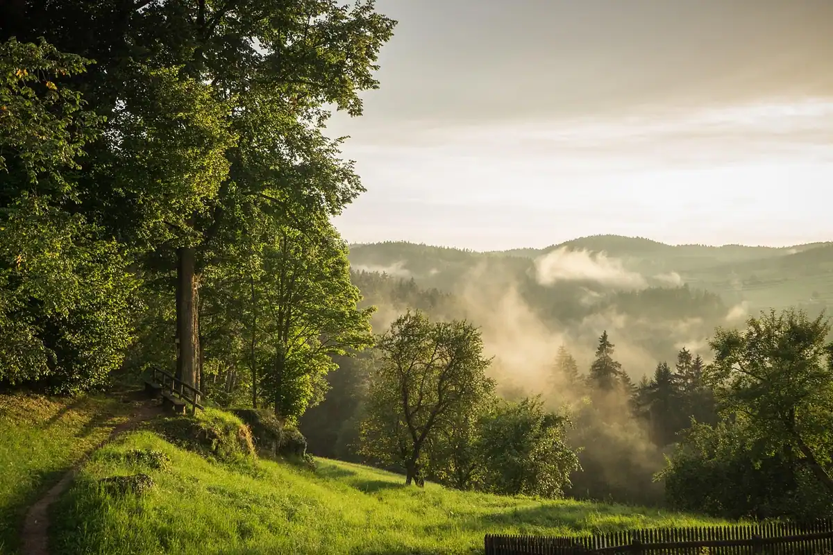 Dealuri cu pădure în ceață, cu orizontul jos și cerul ocupând cea mai mare parte
